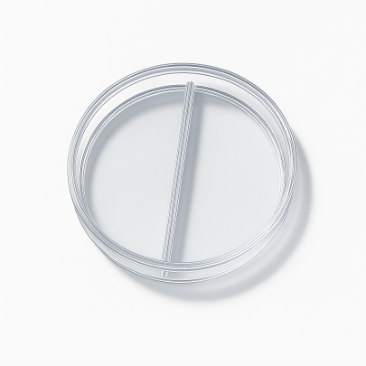 90 MM Bölmeli Petri